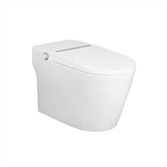 Bitta bo'lak aqlli hojatxona